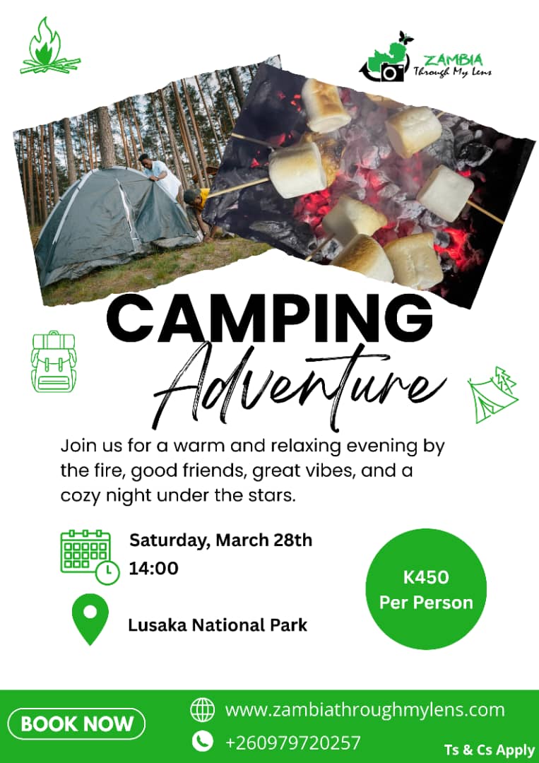 ZTML Camping Adventure